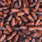 mabroom dates