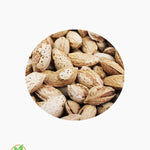 australian-almond-kagazi