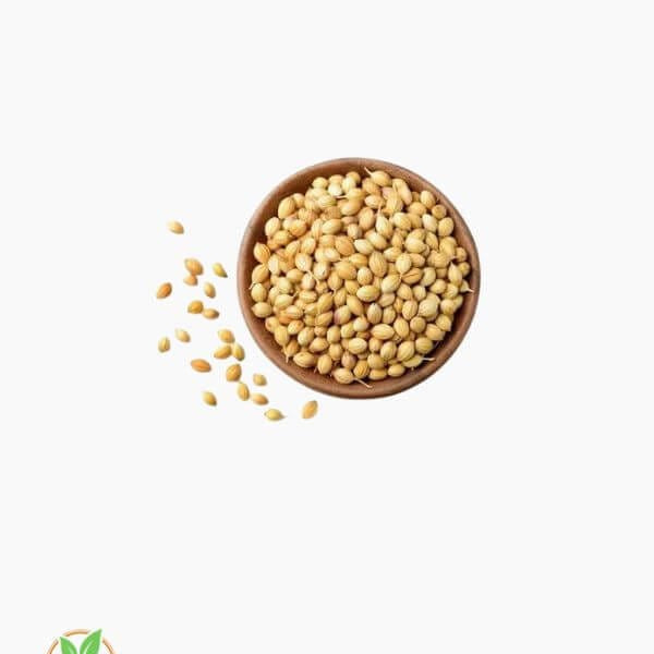 Natural Brown Daniya Seeds