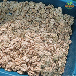 Desi Akhrot Giri (Walnut Kernels)