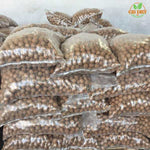 Walnut Kagzi (Soft Shell Akhrot)