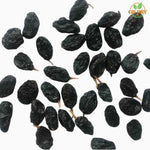 Black Raisin (Munaqa Siyah)