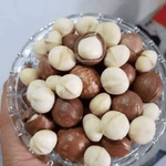 Macadamia Nuts
