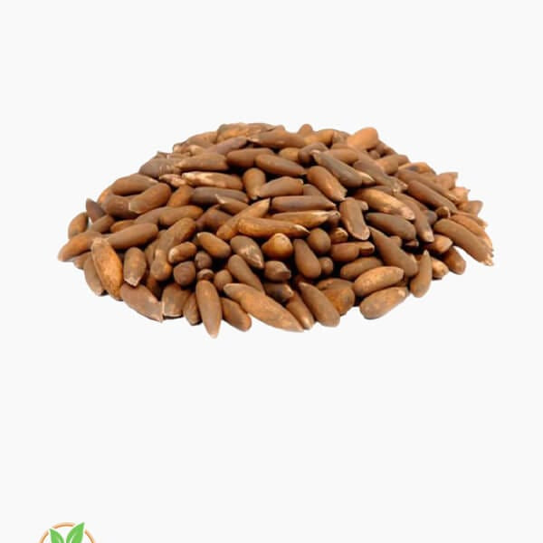 Pine Nuts (Chilgoza) – Premium Quality
