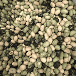 Protein Beans Roasted