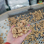 Desi Akhrot Giri (Walnut Kernels)