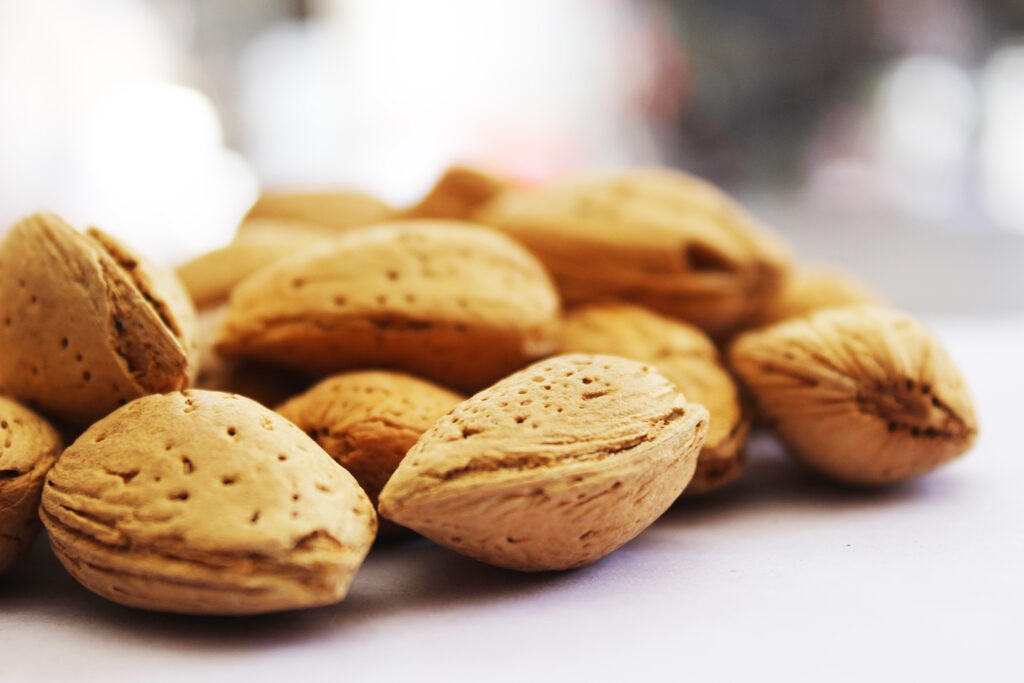 Gurbandi badam (With Shell)