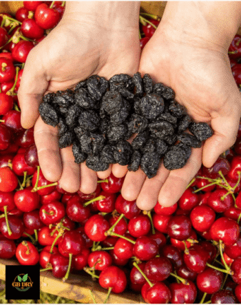Gilgit Baltistan Cherries