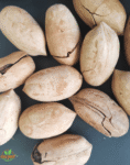 Pecan nuts