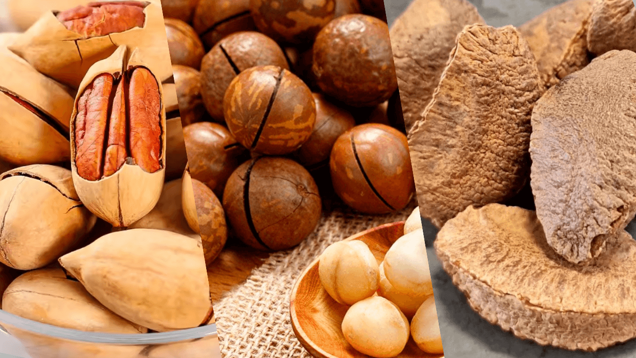 premium-nuts-collection